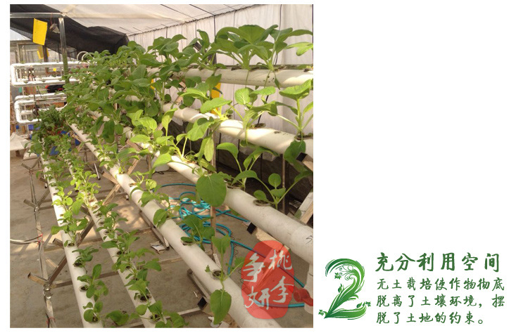阳台无土栽培 单面四管水培设备 绿色蔬菜种植专用 全自动浇水示例图2