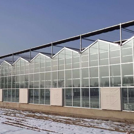 青州鑫泽厂家直销 玻璃智能温室报价 玻璃温室骨架生产安装商 智能玻璃温室