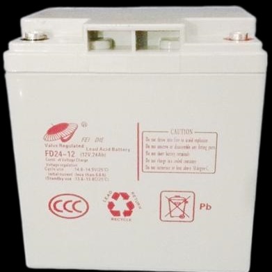 飞碟蓄电池FD24-12铅酸免维护电池储能应急电池飞碟12V24AH UPS机房照明应急图片