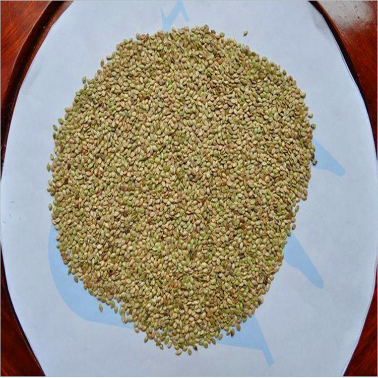 批发百喜草种子 巴哈雀稗草籽 优质畜牧种子南方护坡种子   种子价格