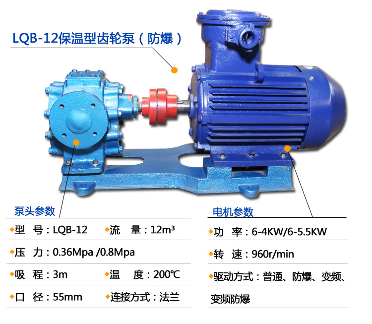 LQB12沥青保温泵 铸铁电动大流量齿轮泵 沥青夹层保温齿轮油泵示例图4