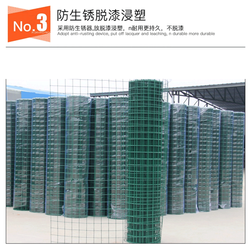 绿色铁丝网 -绿色养殖网 -铁丝围栏网 -波浪形防护网 -大孔铁丝网示例图4