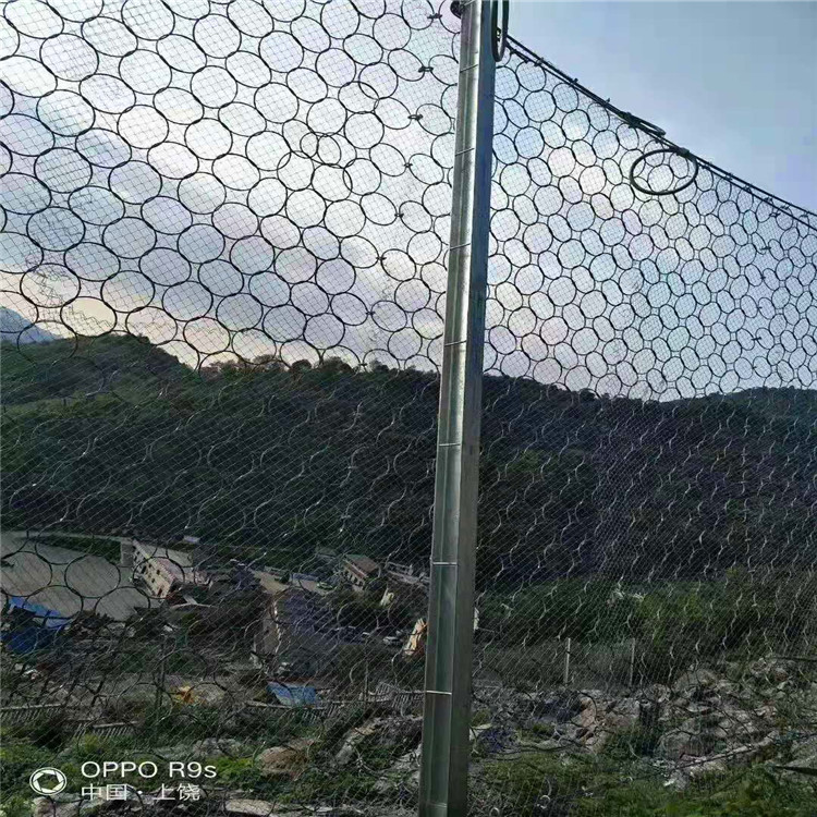贺州边坡防护网 sns边坡防护网 阳迪 河道边坡防护网
