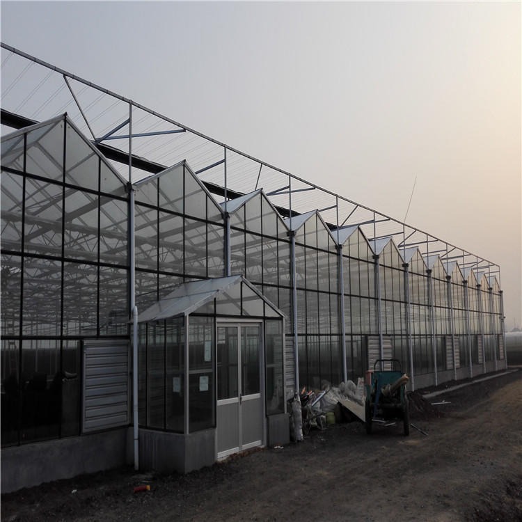 农业玻璃温室 直销蔬菜玻璃温室 承接玻璃温室大棚安装  博伟