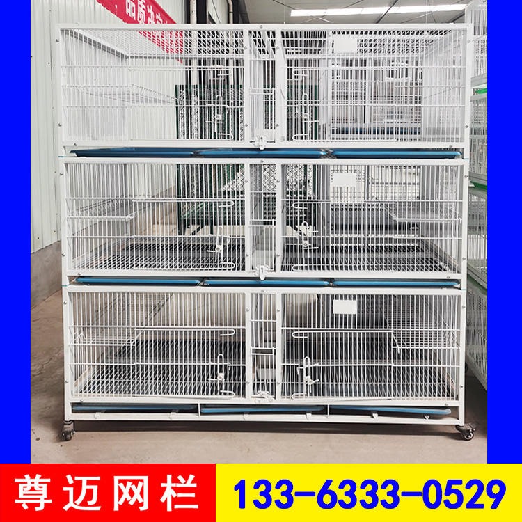 北京鸽子养殖笼 尊迈6位白鸽配对繁殖笼 8位家用鸽子笼厂家