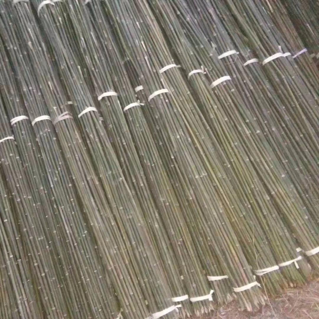 崔琦竹木菜架竹厂家 农用种菜小竹竿 毛竹稍支撑搭架用竹子量大从优图片