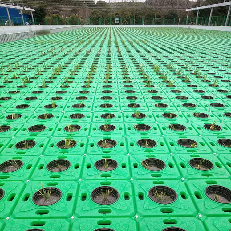 水上景观绿化浮板 水生植物绿化浮板 PE生态浮岛 一匡 厂家直发