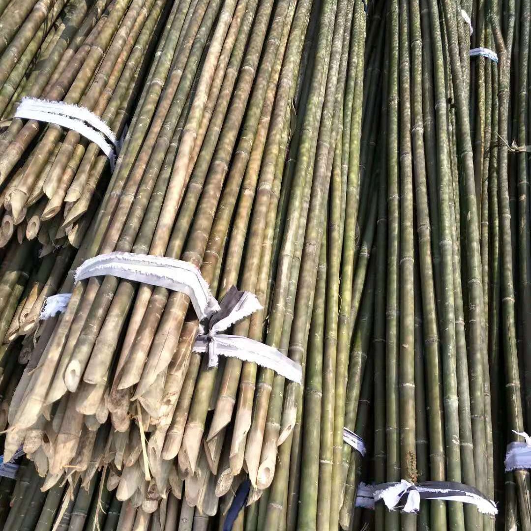 菜架竹厂家源产地大量批发拇指粗竹杆种菜 制作昆虫屋原料的白竹子