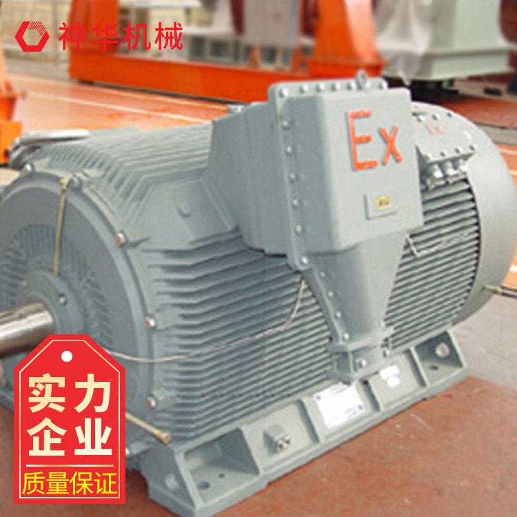 山东神华YB560-800系列三相异步电机产品参数 YB560-800系列三相异步电机产品用途图片