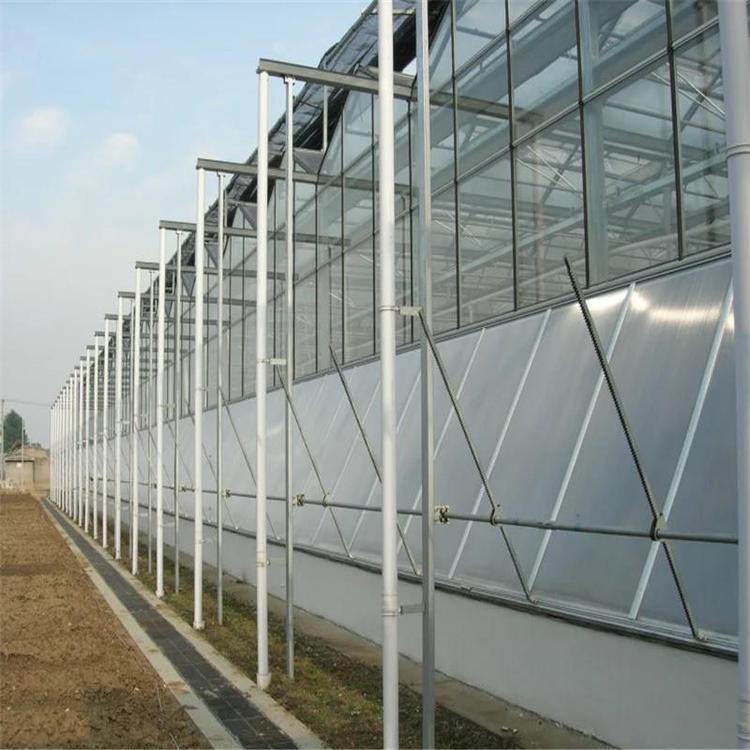 山西大型农业园区建设 农业园区规划设计 农业园区玻璃温室 鑫泽农业温室图片