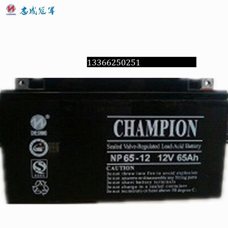 蓄电池 NP65-12 铅酸蓄电池价格 12V65AH