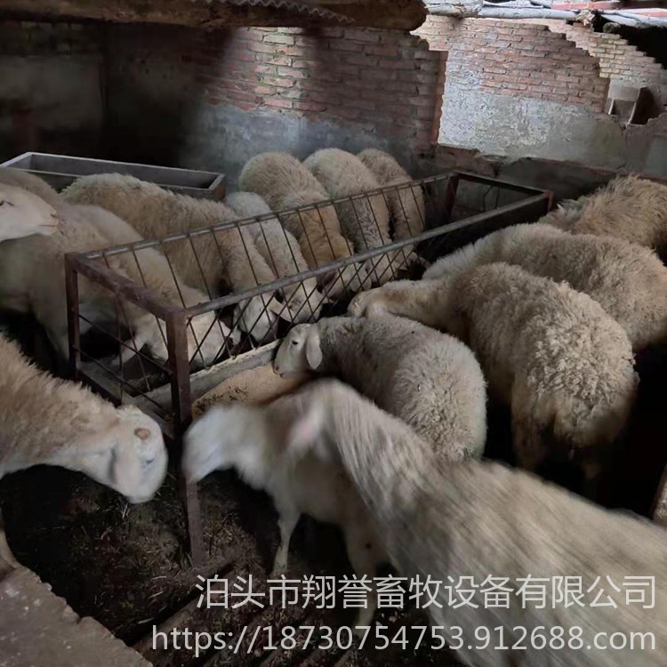 厂家销售羊槽 喂养牛羊用 批发零售畜牧设备 一件包邮 翔誉畜牧图片