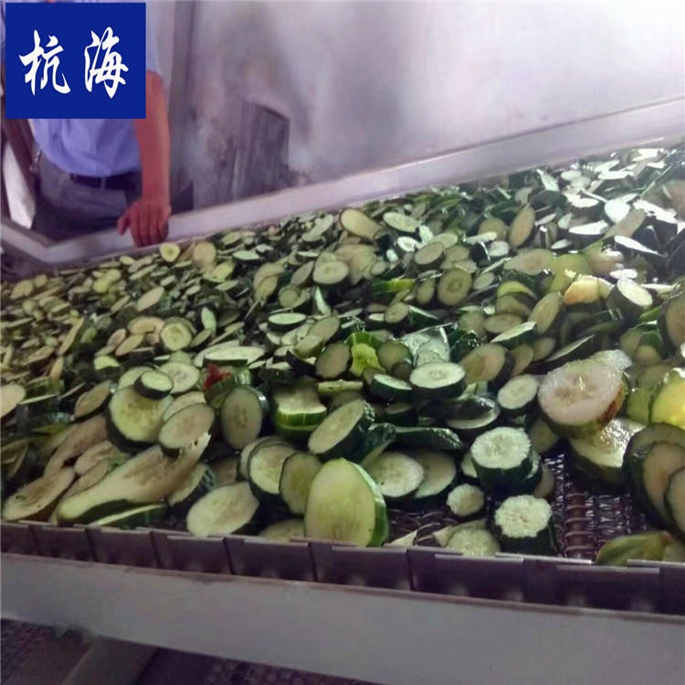 杭海机械 黄瓜烘干机 脱水设备 烘干机生产厂家