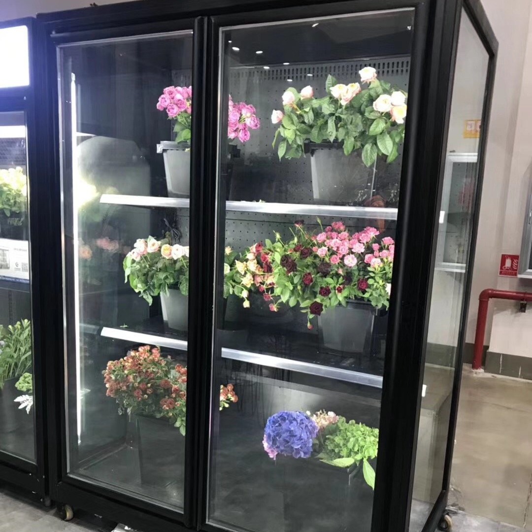 鲜花冷藏展示柜 鲜花保鲜展示柜 玻璃门鲜花保鲜冷藏柜 工厂直销未来雪冷柜定制  WLX-XH-129