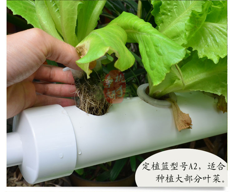 阳台无土栽培 单面四管水培设备 绿色蔬菜种植专用 全自动浇水示例图11