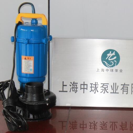 QDX25-17-2.2灌溉用潜水电泵 220V家用河水提升泵