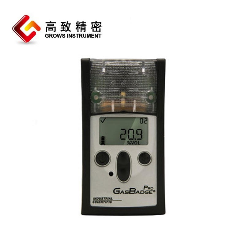 便携式单一气体检测仪 GB Pro