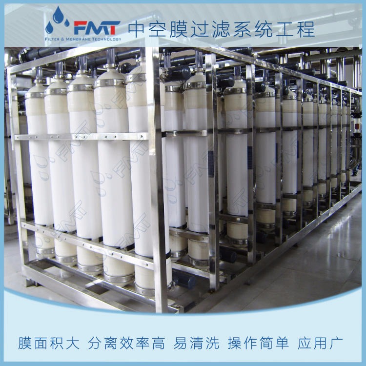 FMT-MFL-12 微滤膜分离设备,除菌过滤食用色素,简化流程,降低成本,分离纯度高,福美科技(FMT)量身定制