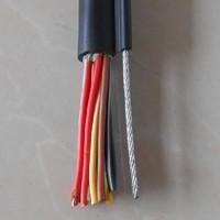 天联KVVPRC电葫芦控制电缆 专业厂家生产KVVPRC电动葫芦电缆 自承式行车控制电缆图片