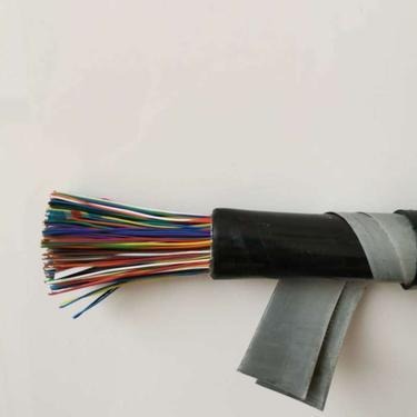 HYA22 200×2×0.7 通信电缆阻燃通讯电缆 ZR-HYA22 200×2×0.7 电缆价格图片