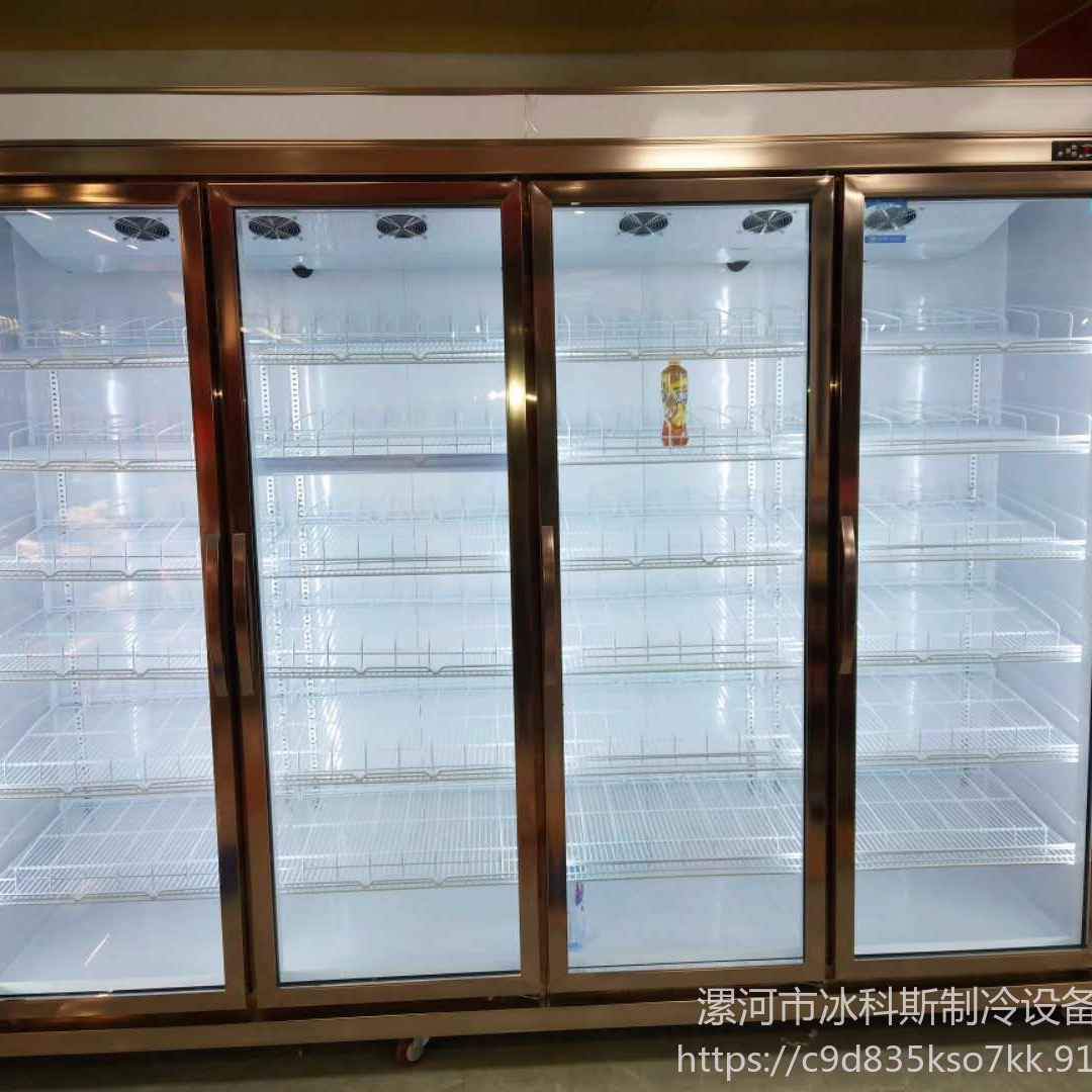 冷藏陈列柜 大型商用双门饮料陈列柜  工厂直供 未来雪冷柜 WLX-YLG104图片