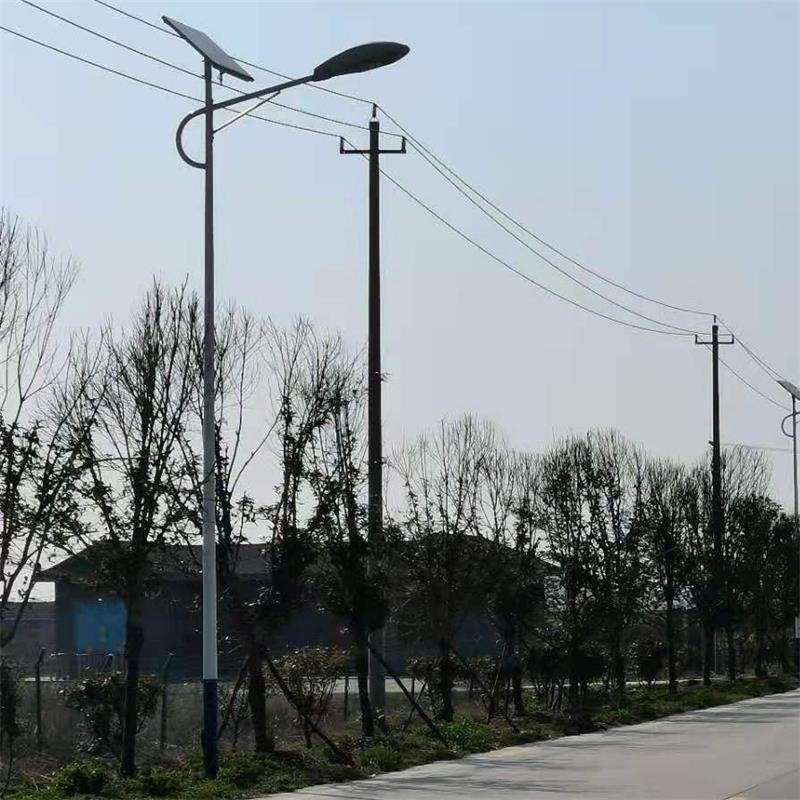 鑫永虹新农村建设LED太阳能路灯 8米民族风特色太阳能照明路灯杆图片