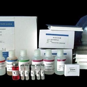 大鼠胰岛素样生长因子-Ⅰ(IGF-Ⅰ)ELISA试剂盒