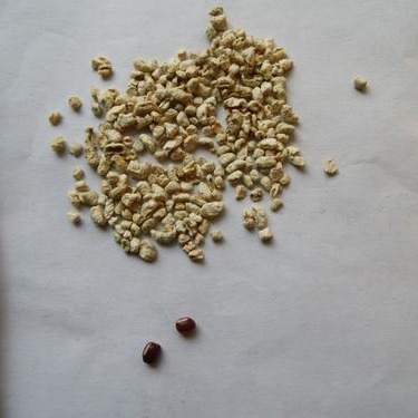 威海玉米芯磨料抛光料经销 天然玉米芯磨料详细资料说明 优质抛光材料玉米芯磨料
