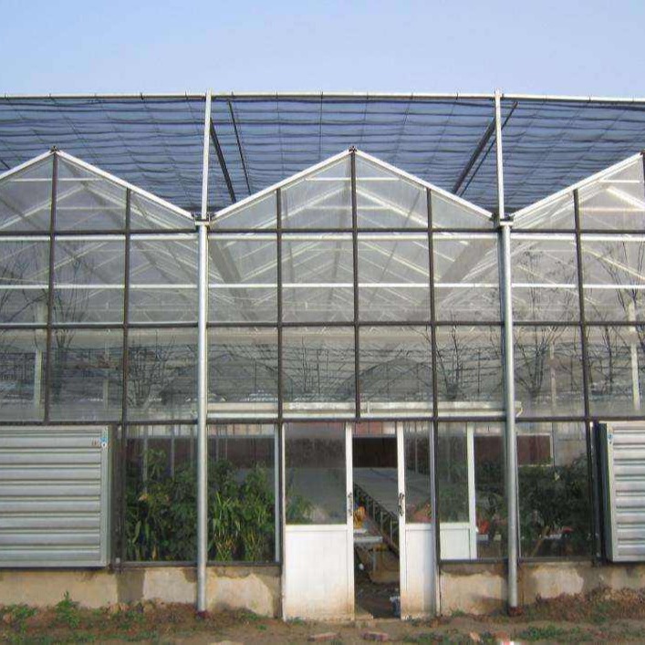博伟 玻璃温室大棚 1000平玻璃温室 玻璃温室大棚