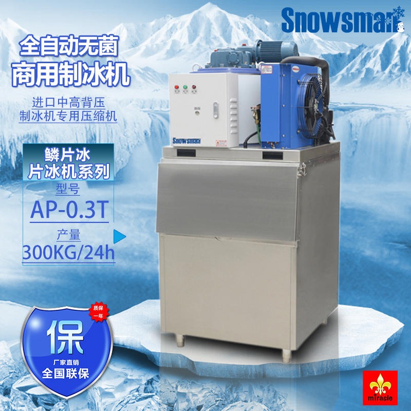 雪人海鲜制冰机 AP-0.3T商用片冰机 300KG海鲜自助餐鱼鳞片制冰机冷藏保鲜图片