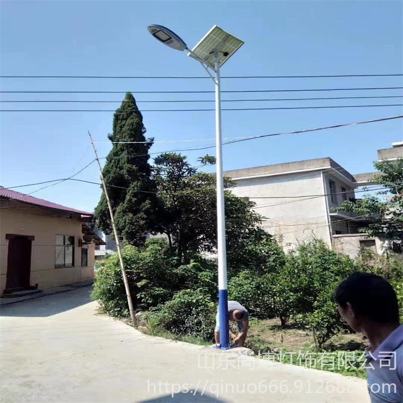 乡村振兴6米太阳能路灯 定制市政道路灯 40w50w太阳能路灯 量大包邮