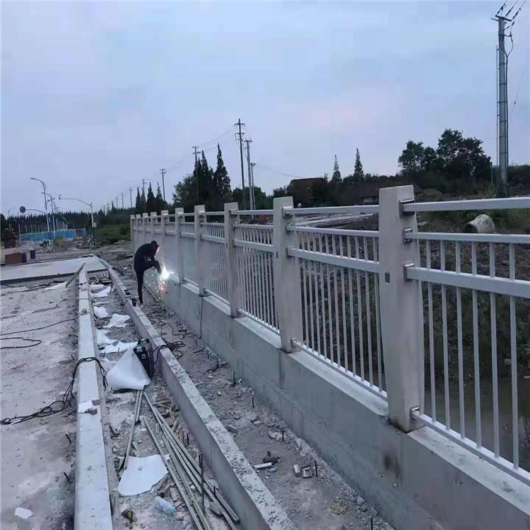 厂家现货 河道景观防撞护栏 304桥梁河道隔离栏杆 桥梁护栏定制