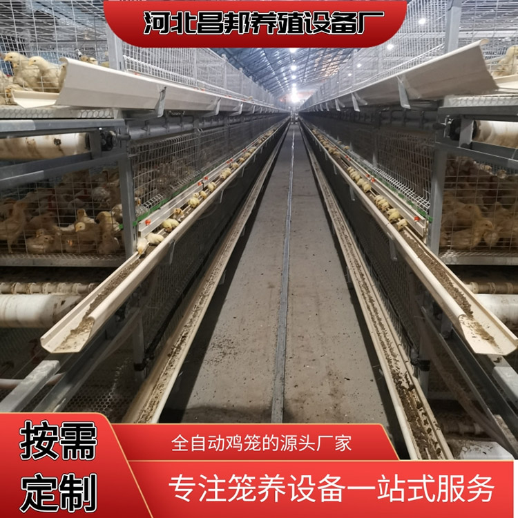 肉鸡笼厂家 框架式肉鸡笼 昌邦 自动化元宝笼 厂家报价