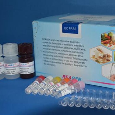 人成熟促进因子试剂盒 MPF试剂盒 成熟促进因子ELISA试剂盒 厂家直销图片