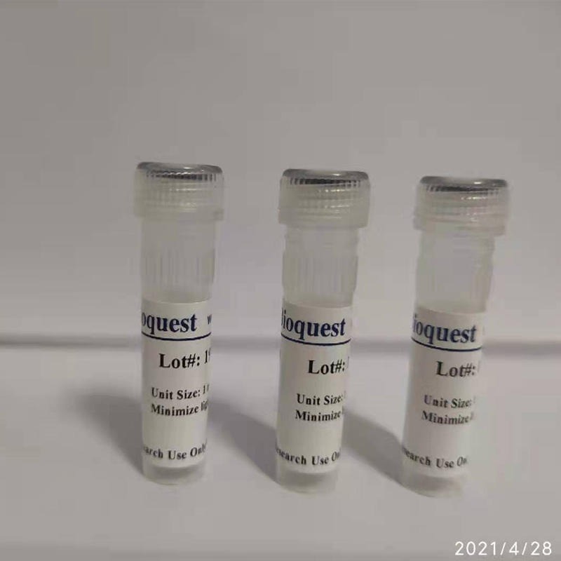 AAT Bioquest  Cy3 NHS酯  水溶性荧光染料cy3 货号141图片