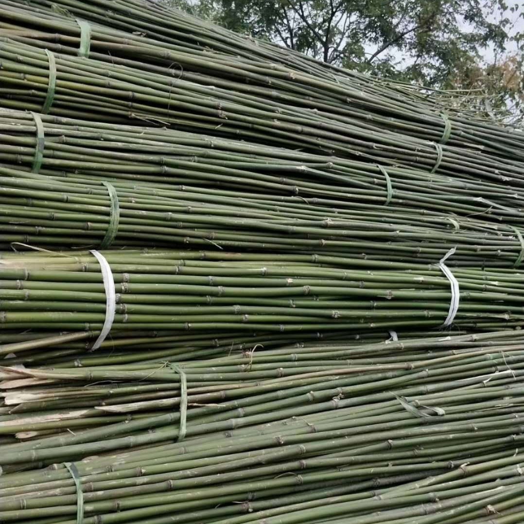 拇指竹厂家 半实心竹用于搭黄瓜大西红柿丝瓜爬藤搭架植物用竹竿图片