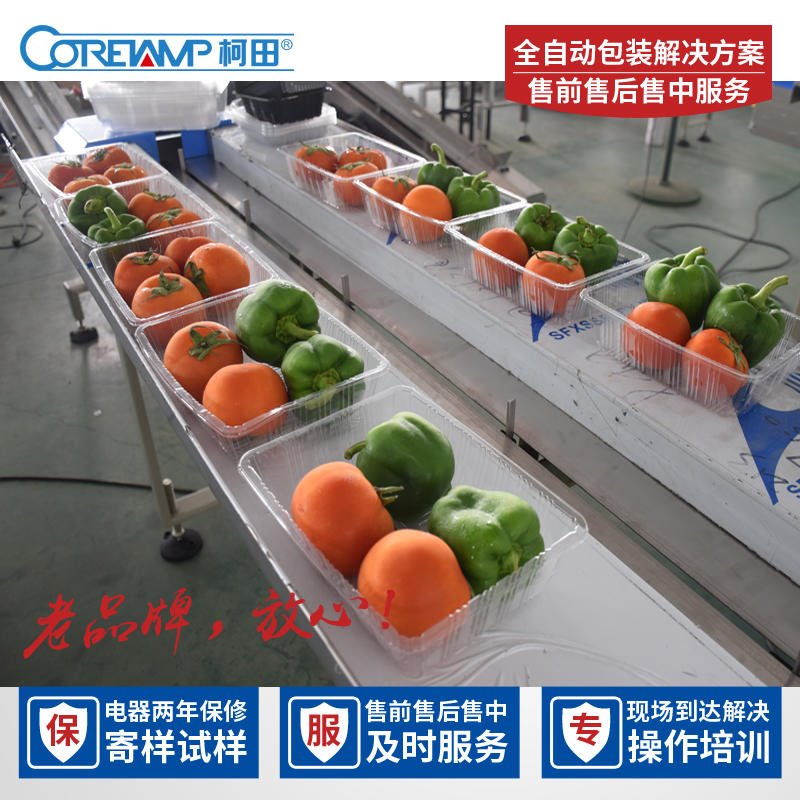 托盘红枣蔬果食品自动包装机 西红柿自动枕式包装机 西红柿包装机图片