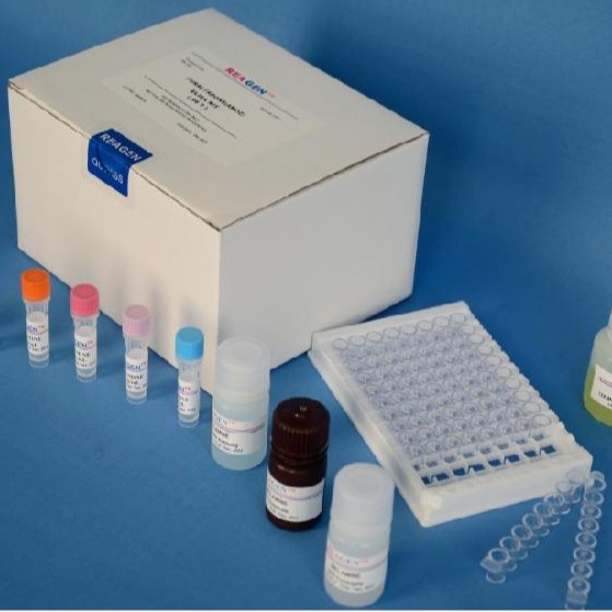 试剂盒 大鼠脑钠素/脑钠尿肽试剂盒 BNP试剂盒 ELISA试剂盒 慧嘉生物图片