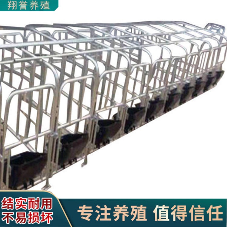 厂家供应自动化养殖 肥猪定位栏 母猪限位栏 翔誉畜牧