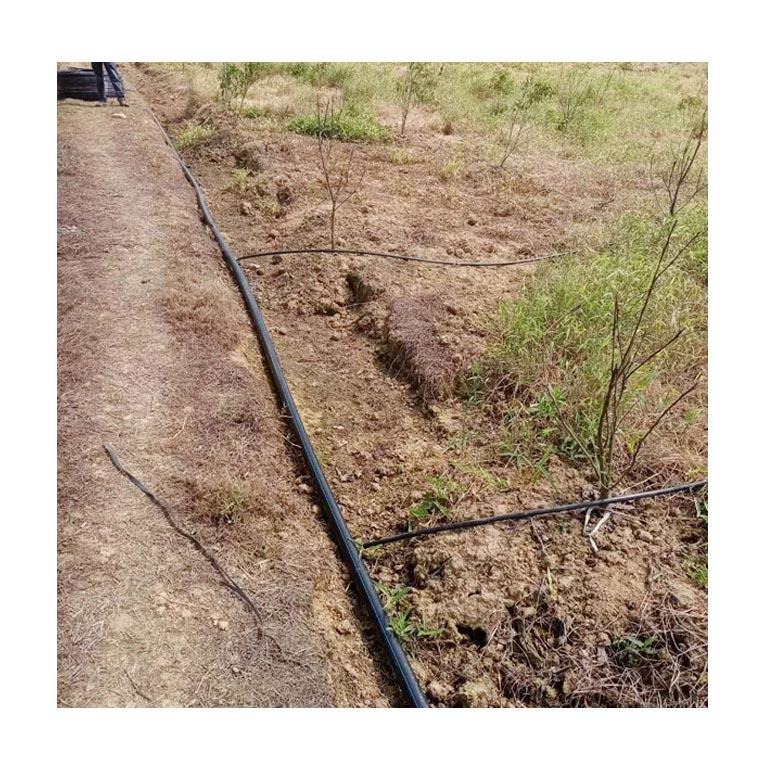 果园灌溉水管滴头，果园节水灌溉管道滴头 山地果林灌溉胶管滴头丰盛源图片