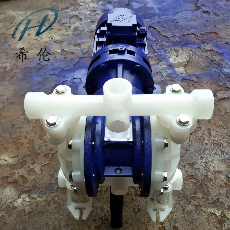 电动隔膜泵220v 小型电动隔膜泵 微型电动隔膜泵