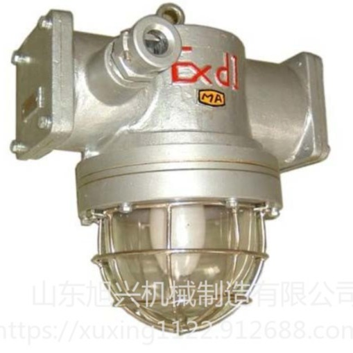 DGS70/127N（B)煤矿用隔爆型高压钠灯 专门用途灯具 防爆灯具 照明工业