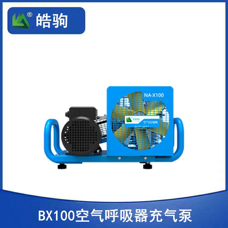 皓驹   BX100  高压潜水空气充气泵   氧气充填泵  移动式空气充填泵设备图片