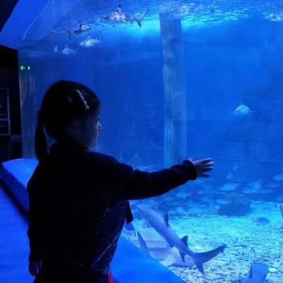 lanhu亚克力海底隧道 大型海洋馆建设 承接海洋馆水族馆设计维生系统