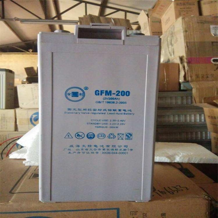 YOULI有利蓄电池2V200AH 有利蓄电池GFM-200 应急储能蓄电池 厂家直销