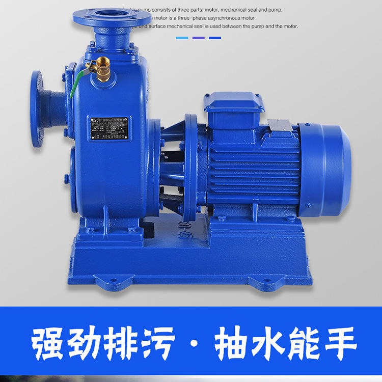 江苏蓝升100BZ-40自吸泵 BZ离心式自吸泵 直联卧式自吸清水泵