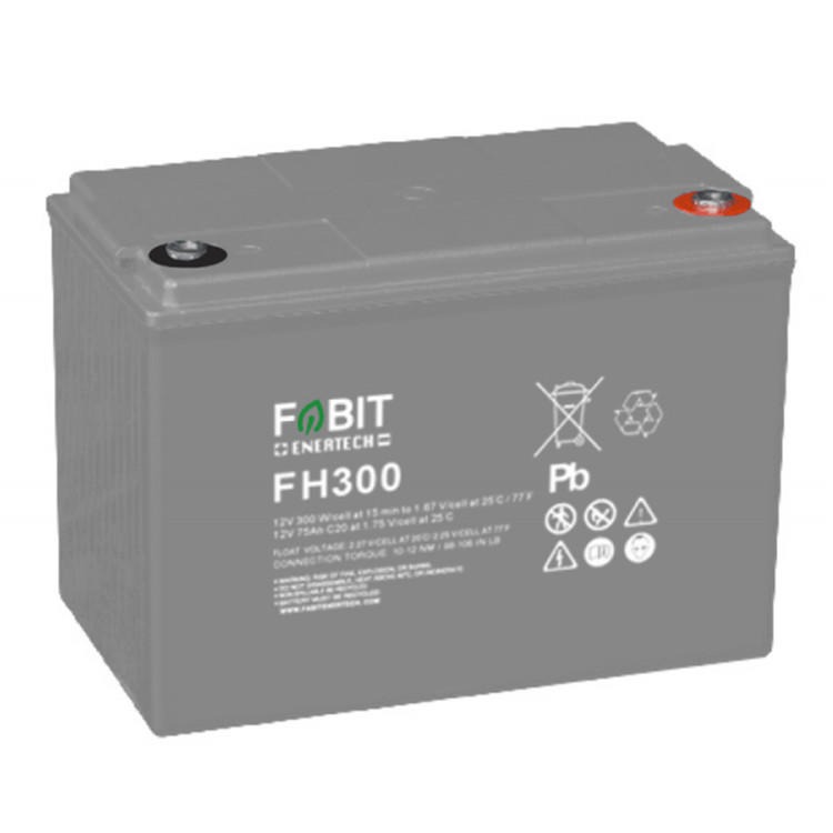 FABIT菲意特蓄电池FP42 12V42AH直流屏 UPS 机房配套