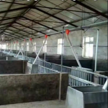 世昌畜牧猪场设备自动化喂料线