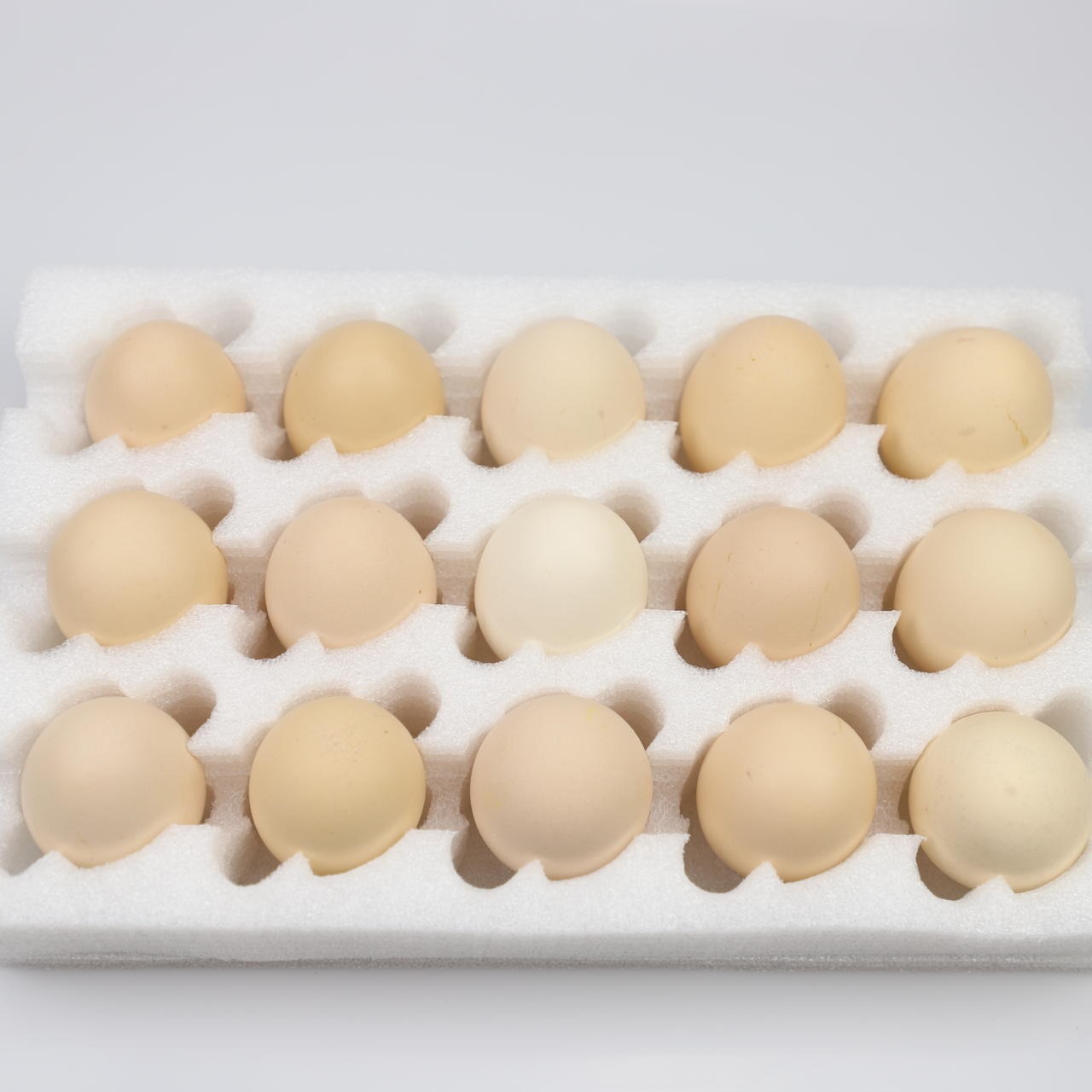 epe珍珠棉鸡蛋托 鸡蛋托生产厂家 批发供应商 鸡蛋托包装盒 10枚鸡蛋托 防震鸡蛋托批发鸡蛋托 两枚鸡蛋托