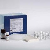 ELISA试剂盒 大鼠S100B蛋白(S-100B)ELISA试剂盒 慧嘉生物